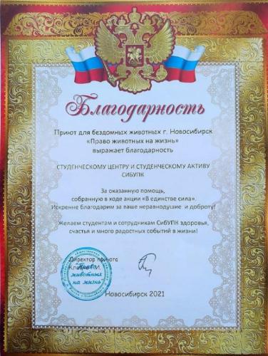 Студенческий актив Сибирского университета потребительской кооперации вновь успешно провел волонтерскую акцию по сбору кормов для животных